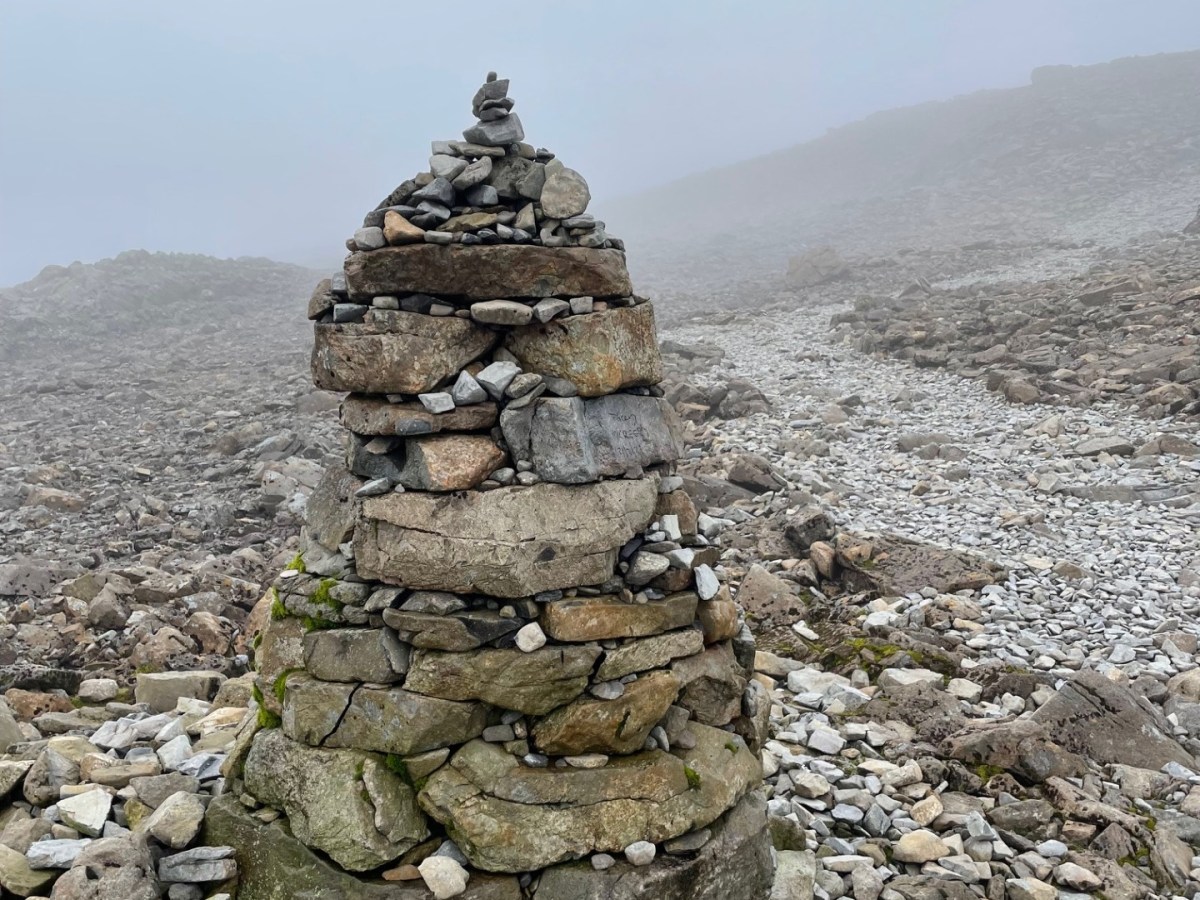 My Best Bets for Belonging&nbsp;.