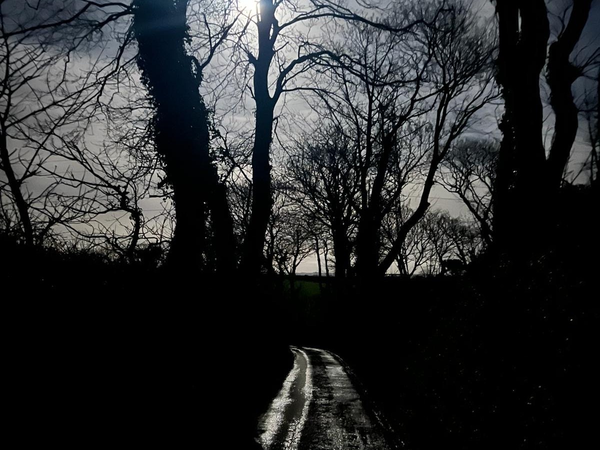 The Dark Side of&nbsp;Belonging