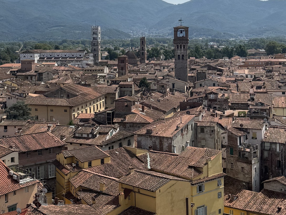 Belonging as the Key Agent in Social&nbsp;Justice.