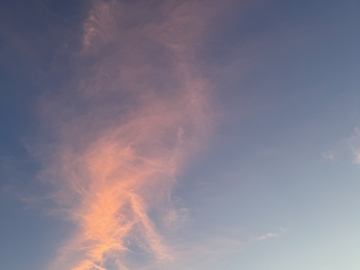 Taking the pulse of&nbsp;belonging.