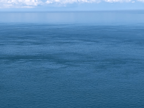 Navigating the Seven C’s of&nbsp;Belonging