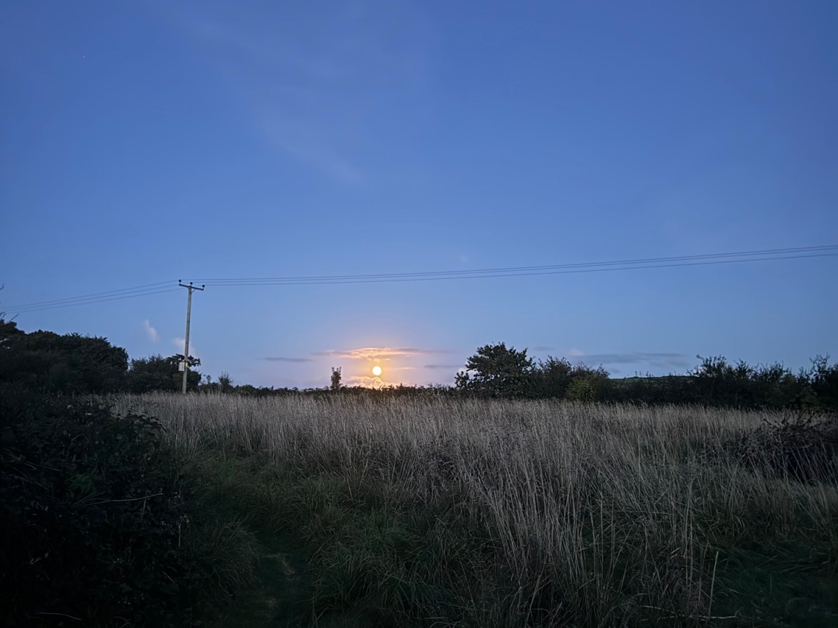 Children don’t behave for teachers they like, they behave for teachers they trust, and who trust&nbsp;them.