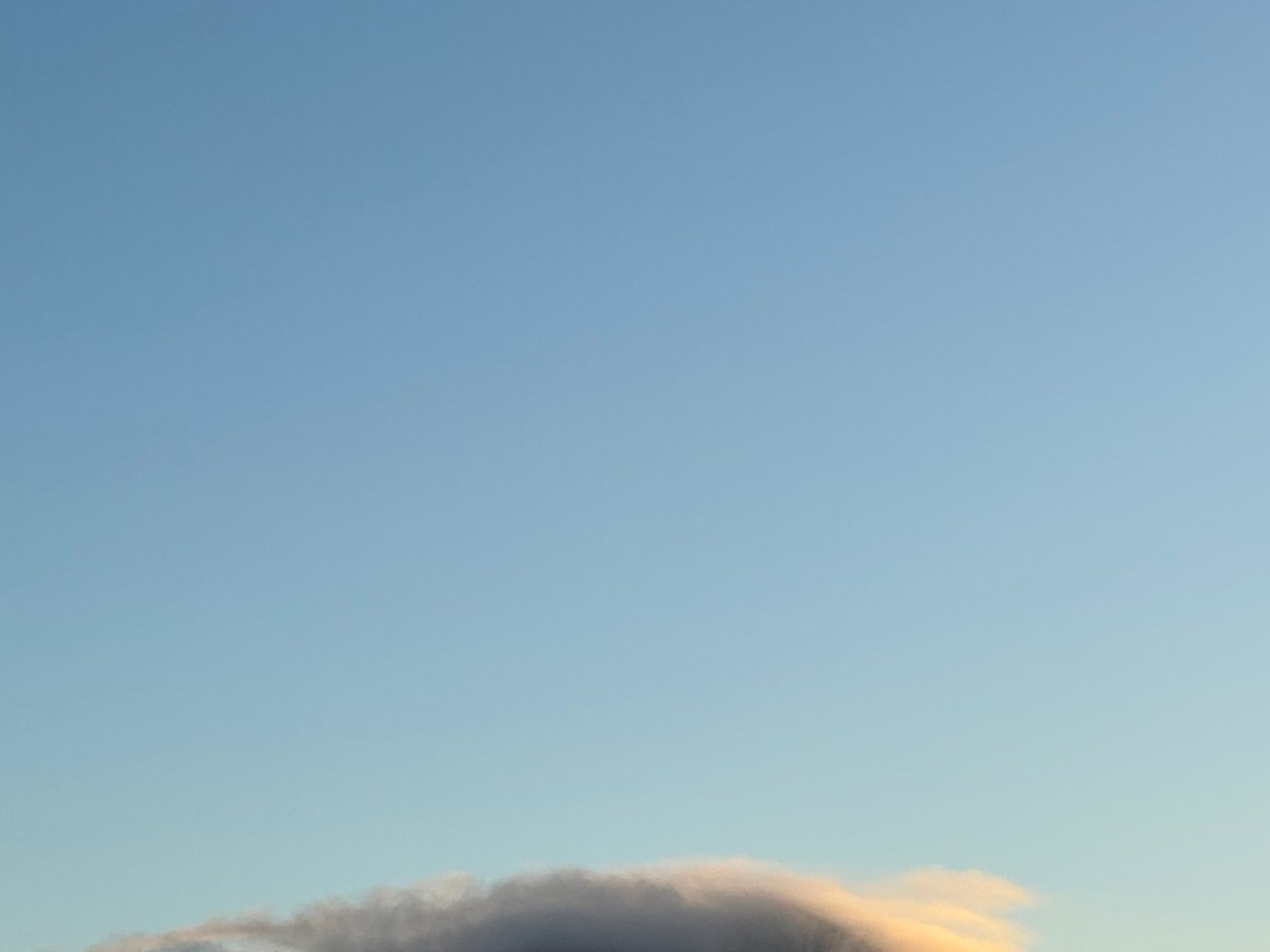 Belonging and Cognitive Load&nbsp;Theory.