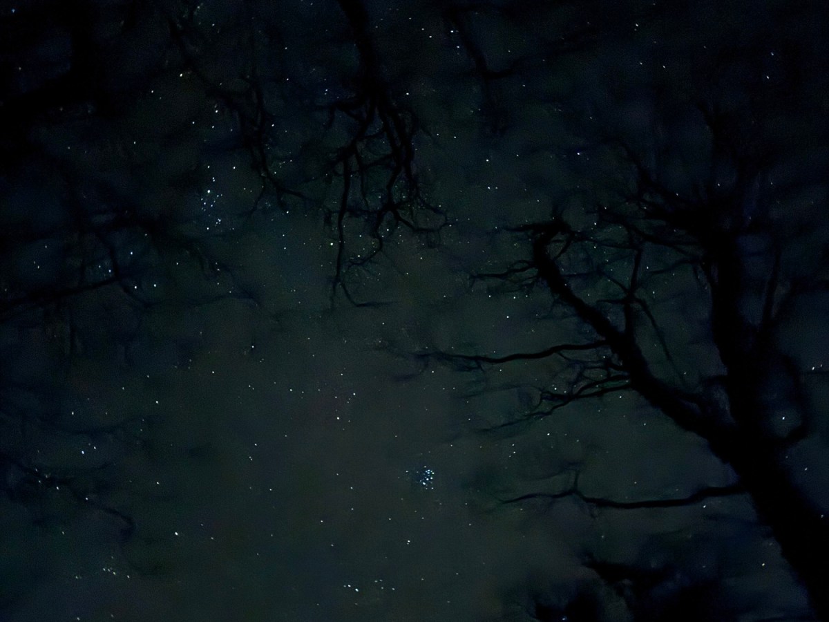 Why I’m no longer talking about Respect (or&nbsp;Tolerance.)