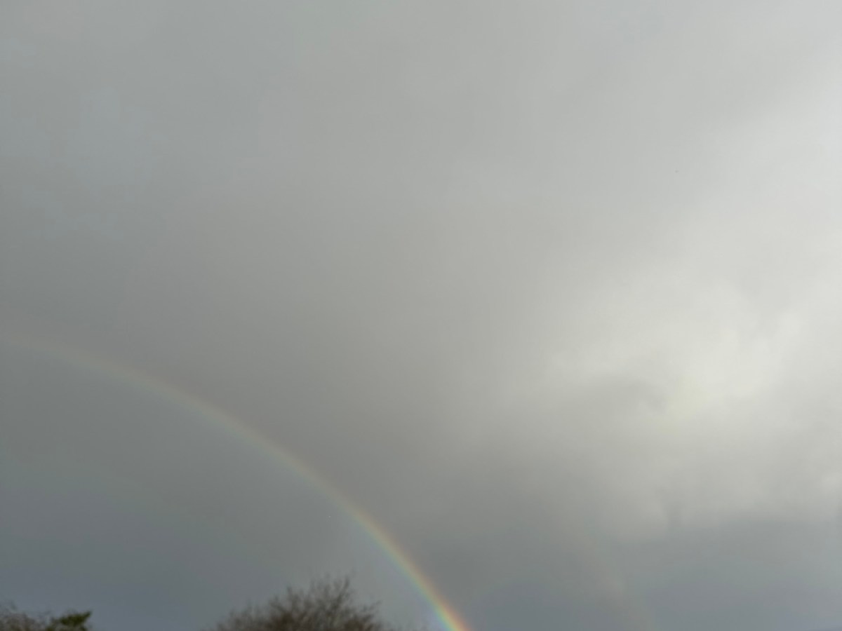 Belonging is the Answer – What’s Your&nbsp;Question?