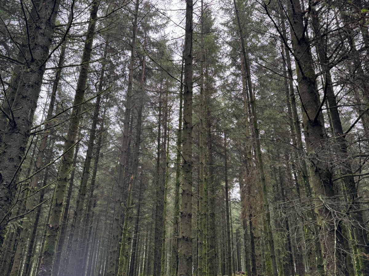 Birthdays, Anniversaries….Significance and&nbsp;Love.