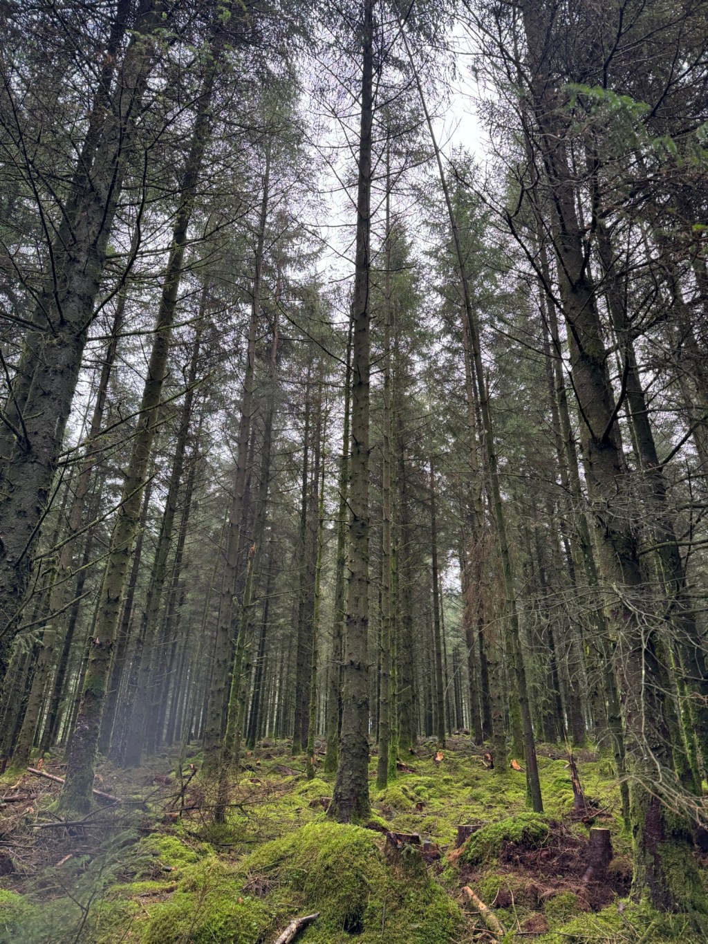 Birthdays, Anniversaries….Significance and&nbsp;Love.