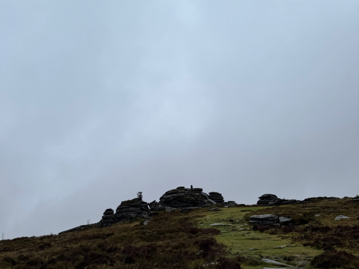 When students feel like they belong, they are ready to learn and&nbsp;grow