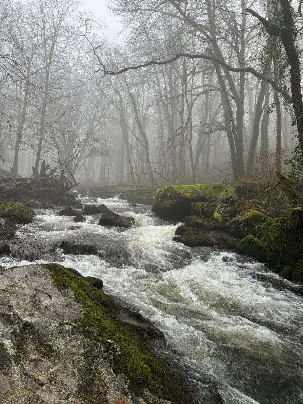 Carrying One Another&nbsp;Across